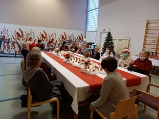 Meri-Lapin lotat Saarenvireessä